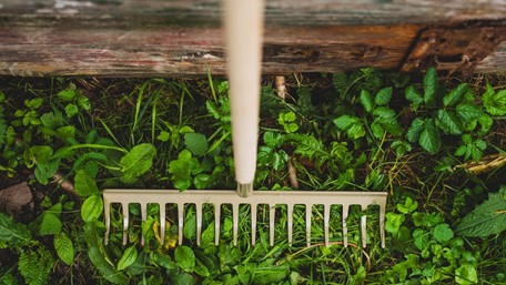 Grablje STALCO Garden čelik kaljeni – 16z